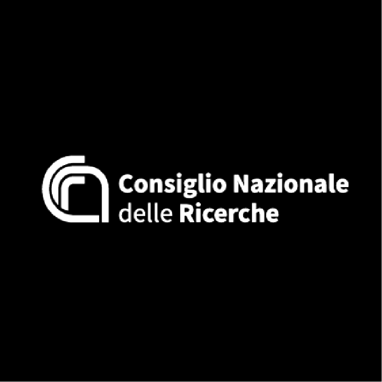 consiglio nazionale delle ricerche