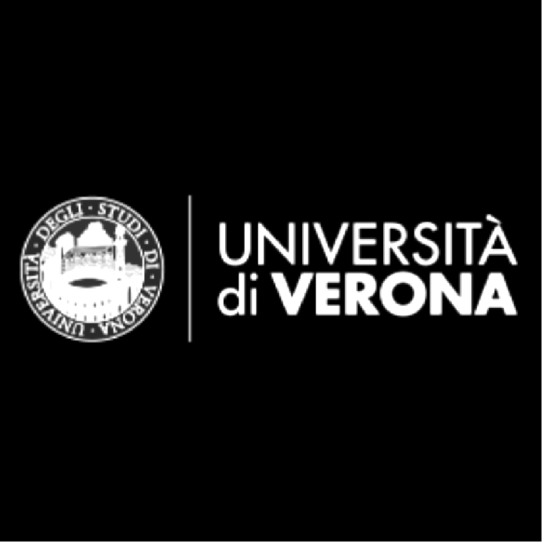 università di verona